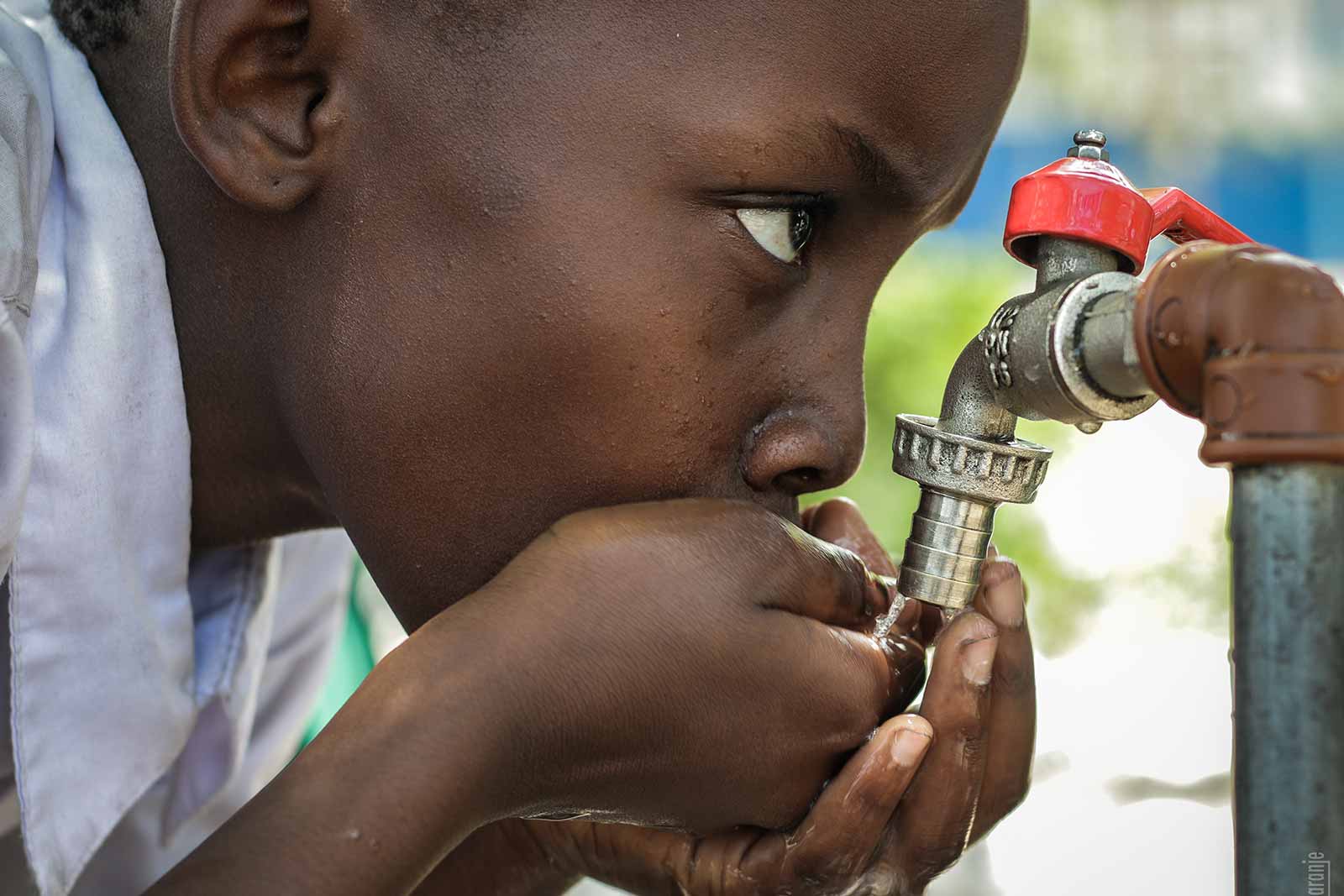 Five ways you can help without donating
